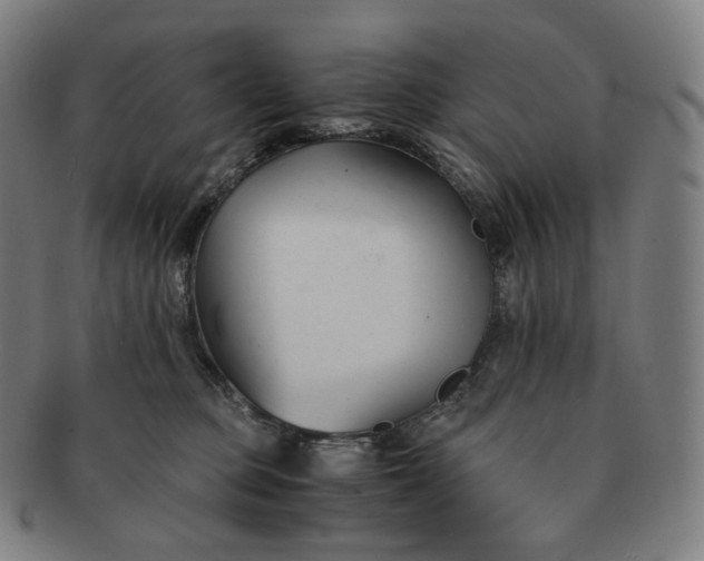 X0000091300373200708241056