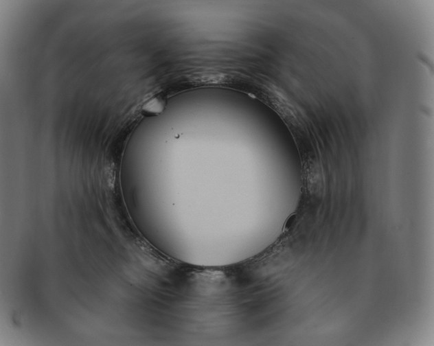 X0000091300374200708241056