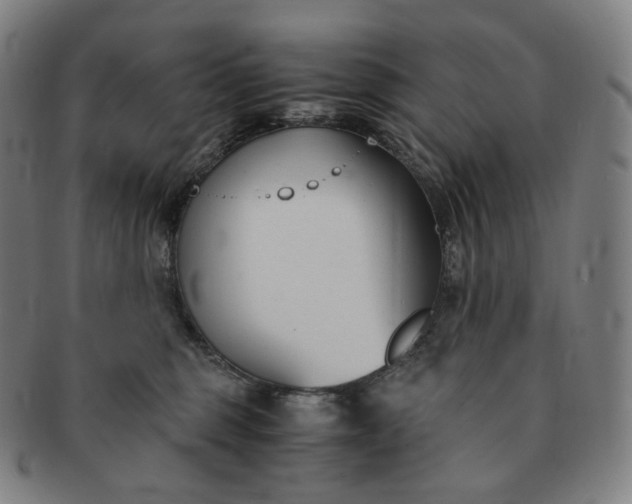 X0000091300375200708241056