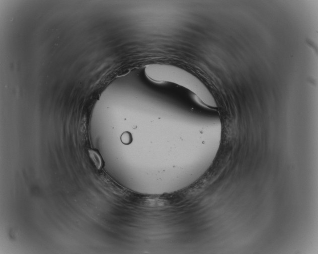 X0000091300376200708241056