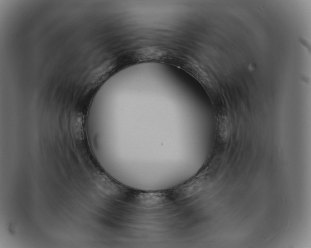 X0000091300378200708241057