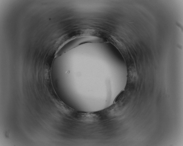 X0000091300379200708241057