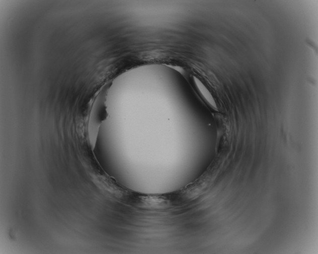 X0000091300380200708241057