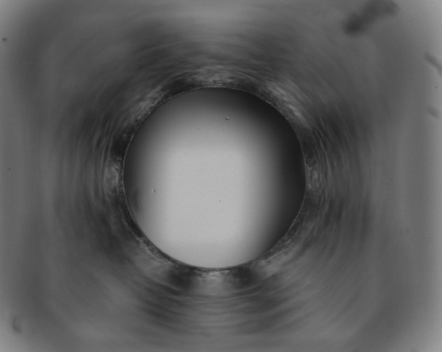 X0000091300382200708241057