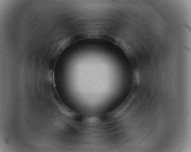 X0000091300383200708241057