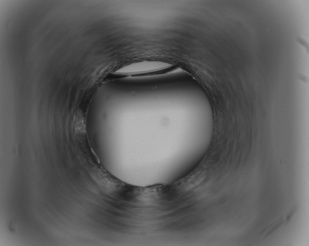 X0000091300384200708241057