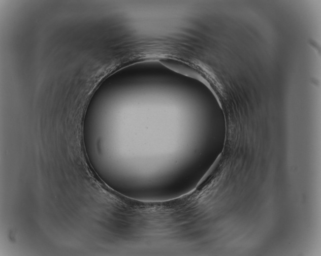 X0000091300385200708241056