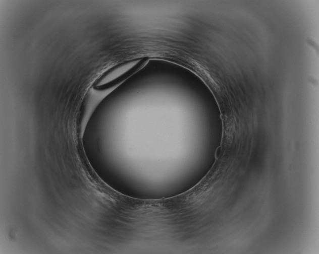 X0000091300386200708241056