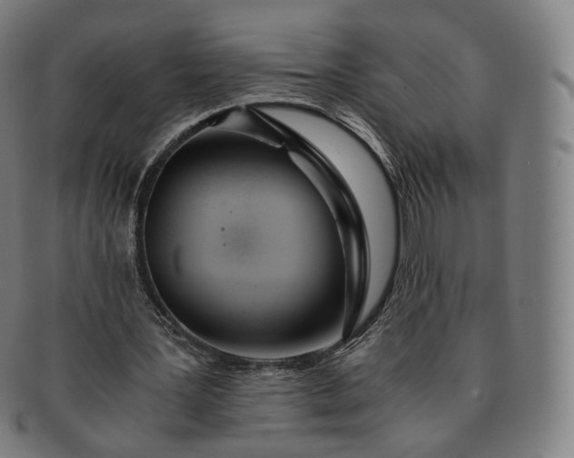 X0000091300387200708241056