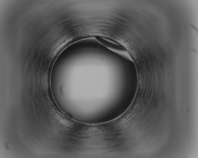 X0000091300390200708241056