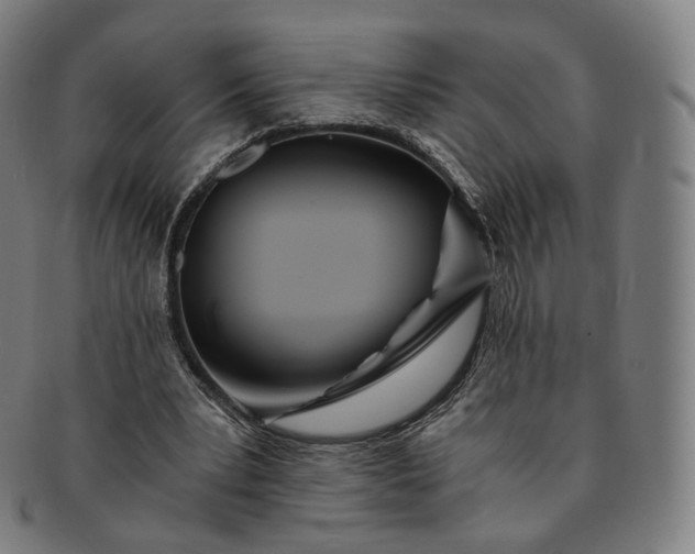 X0000091300391200708241056