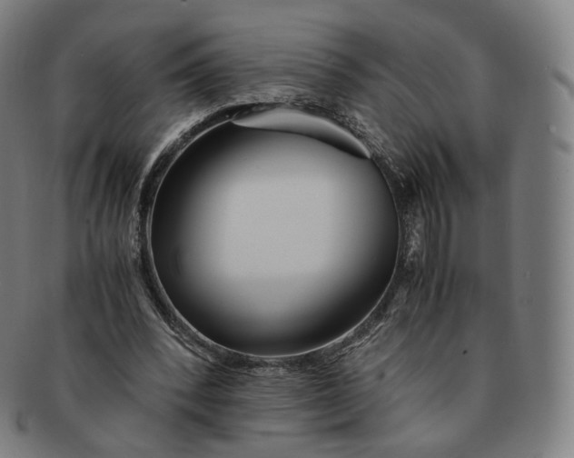 X0000091300392200708241056