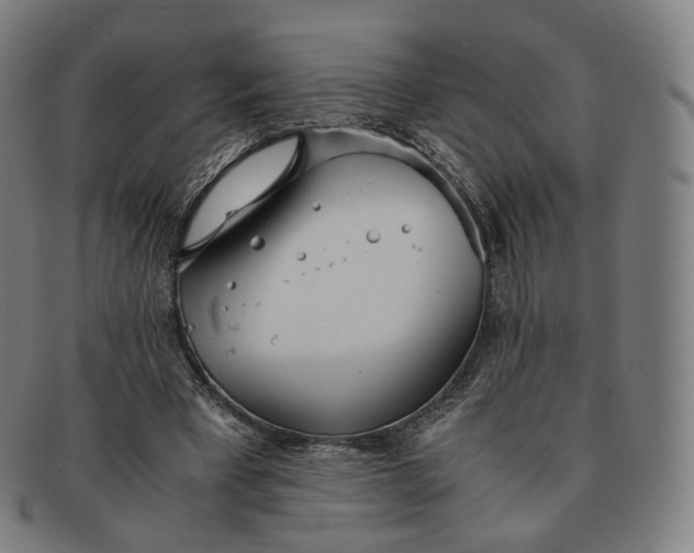 X0000091300393200708241056