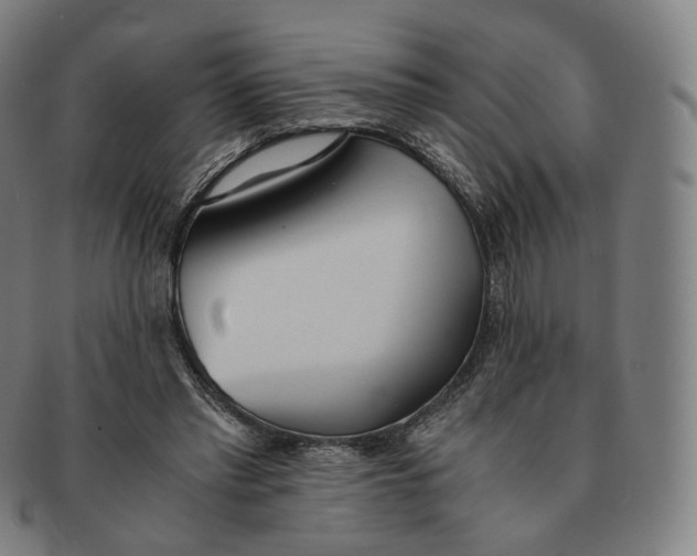 X0000091300397200708241056