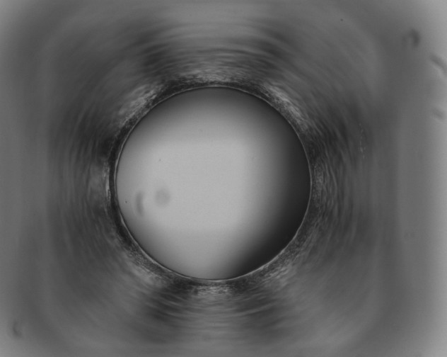 X0000091300398200708241056