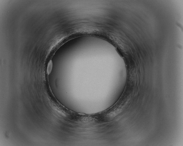 X0000091300399200708241056