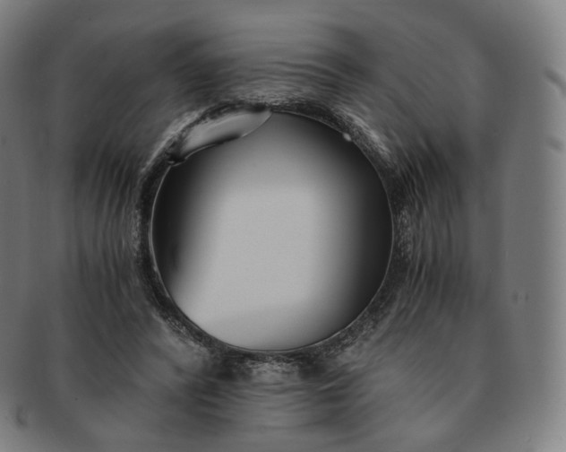 X0000091300400200708241056