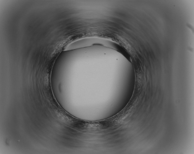 X0000091300401200708241056