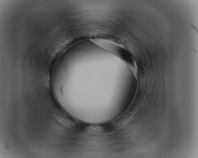 X0000091300403200708241056