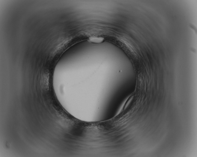 X0000091300404200708241056