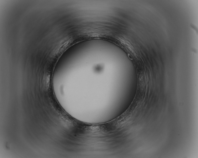 X0000091300406200708241055