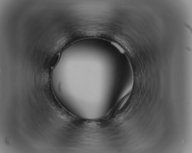 X0000091300407200708241055