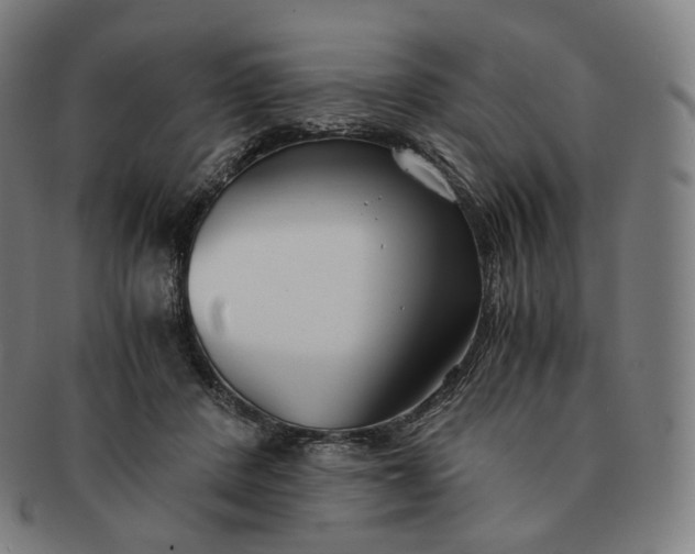 X0000091300408200708241055