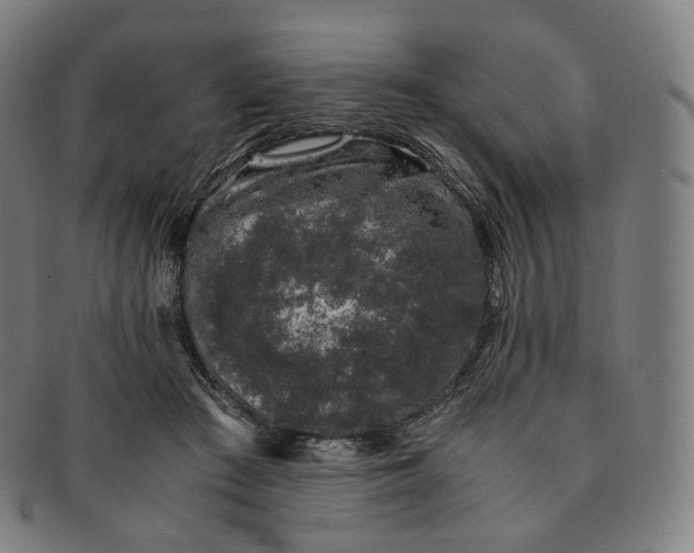 X0000091300409200708241055