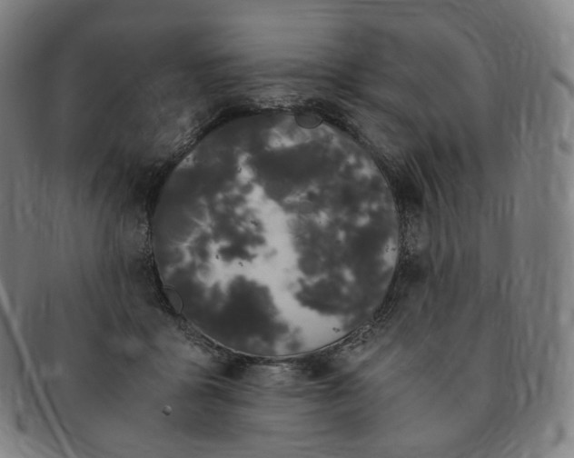 X0000091300411200708241055