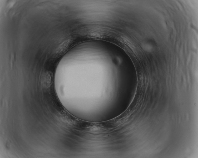 X0000091300412200708241055