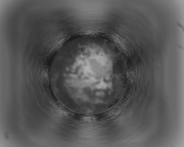 X0000091300415200708241055