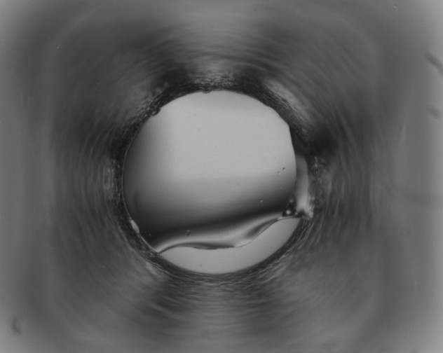 X0000091300416200708241055