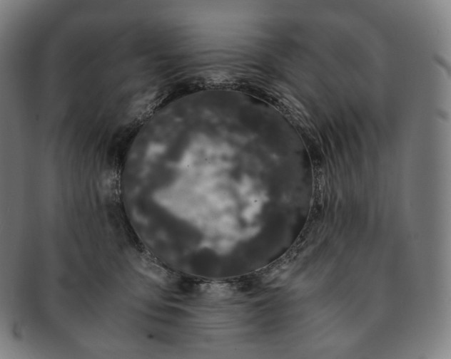 X0000091300419200708241055