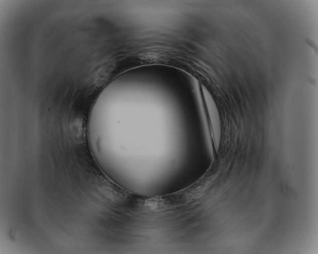 X0000091300420200708241055