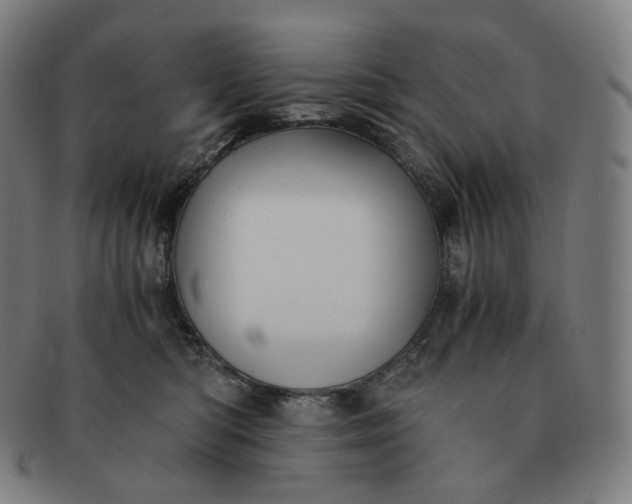 X0000091300422200708241055