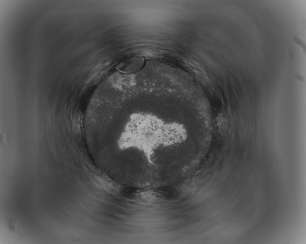 X0000091300423200708241055