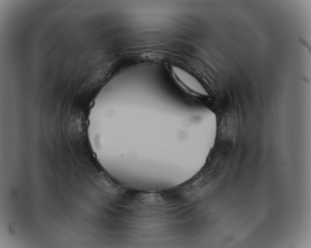 X0000091300424200708241055