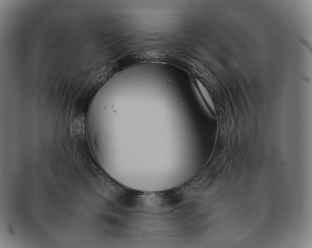 X0000091300425200708241055