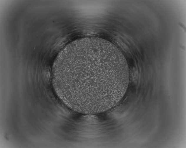 X0000091300427200708241055