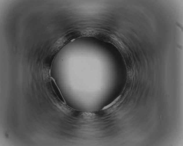 X0000091300429200708241055