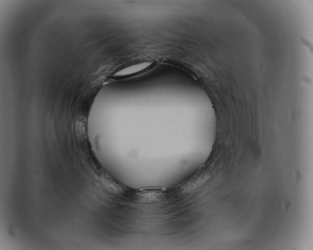 X0000091300432200708241055