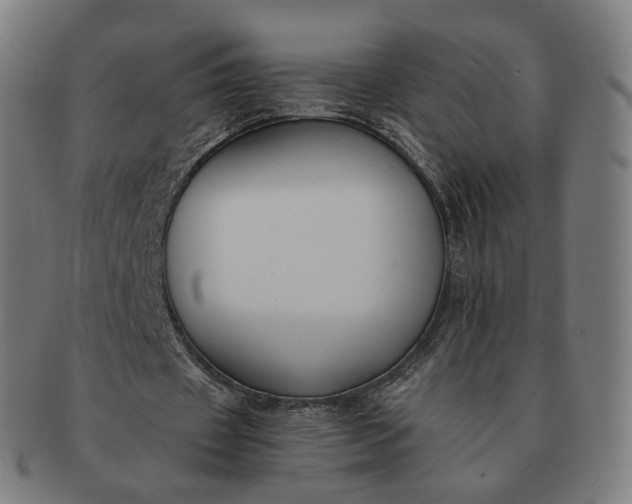 X0000091300433200708241054