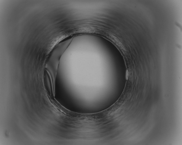 X0000091300434200708241054