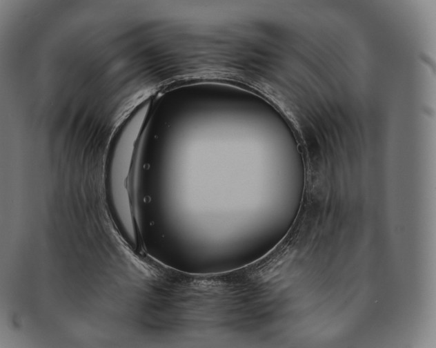 X0000091300437200708241055