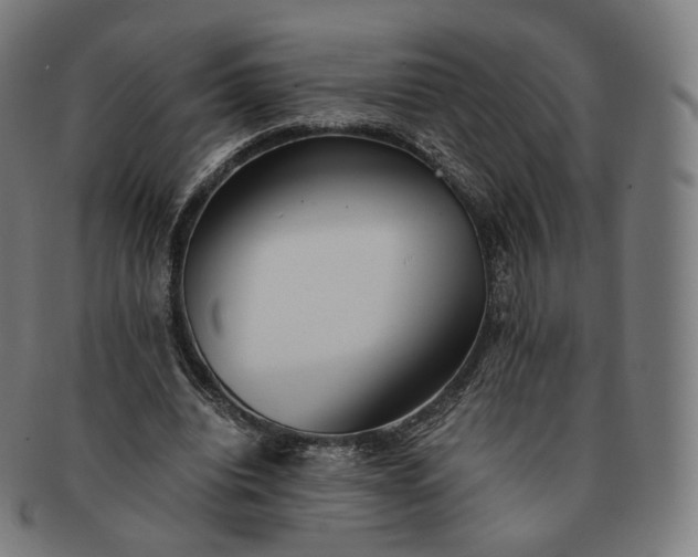 X0000091300440200708241055