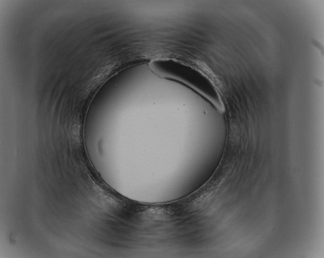 X0000091300441200708241055