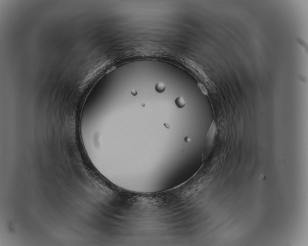 X0000091300442200708241055