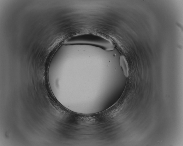 X0000091300443200708241055