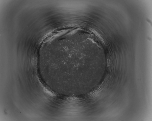 X0000091300444200708241055