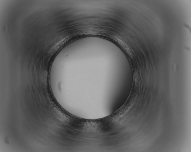 X0000091300445200708241055